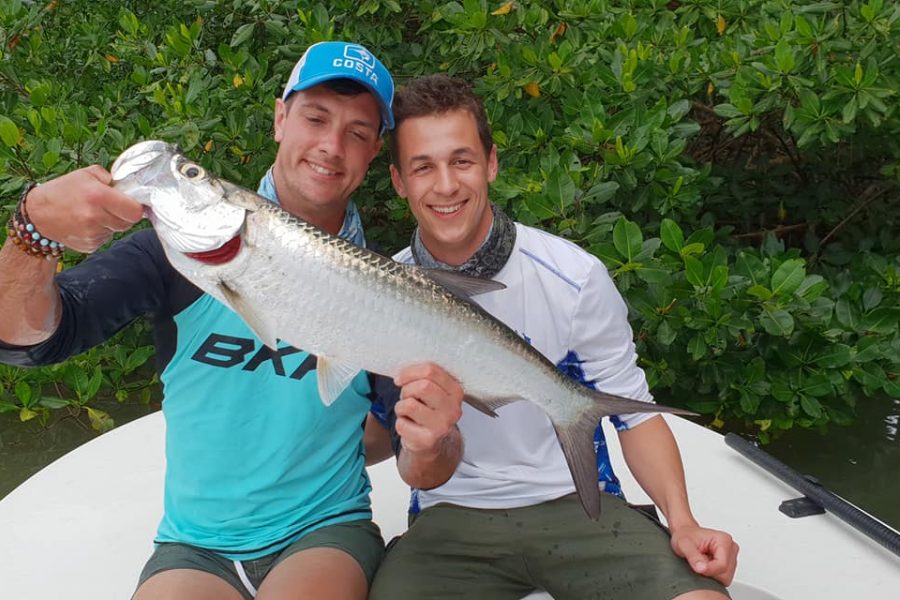 À la recherche des babys tarpons
