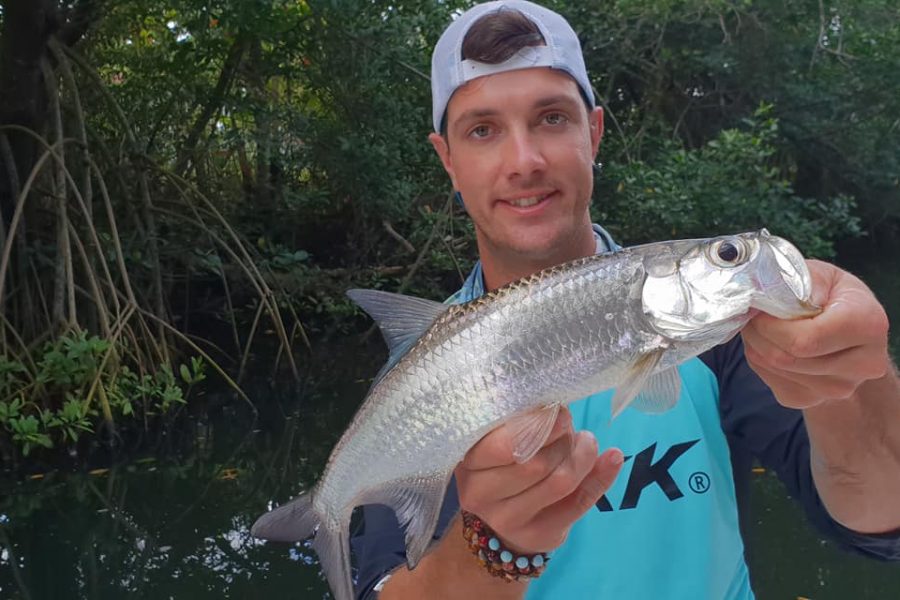 À la recherche des babys tarpons
