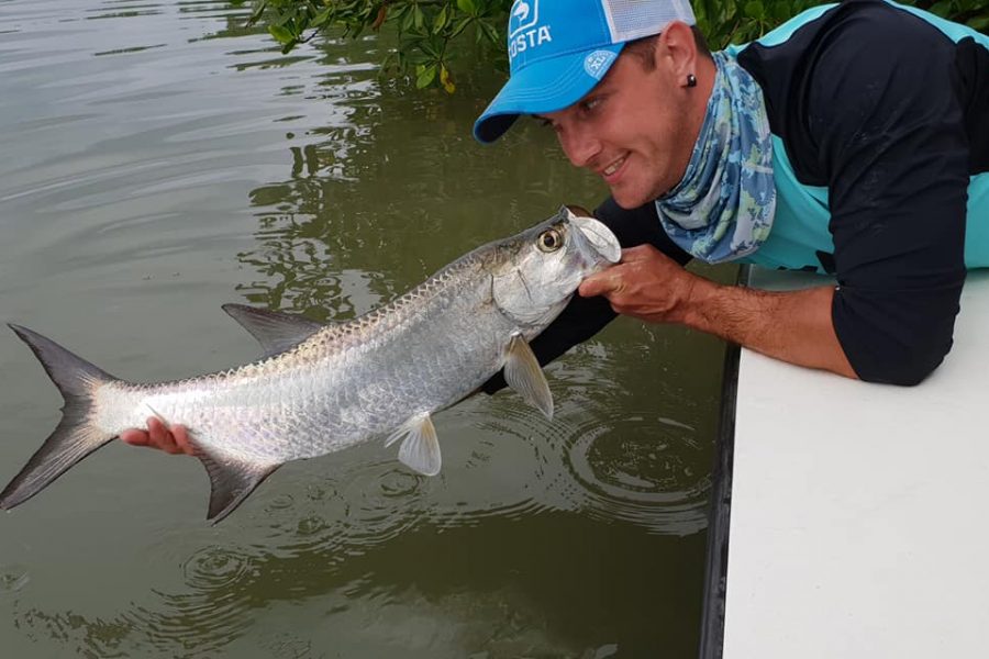 À la recherche des babys tarpons
