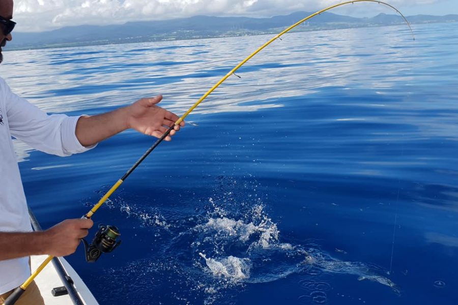 Super Guidage derrière la barrière de corail en SKIFF