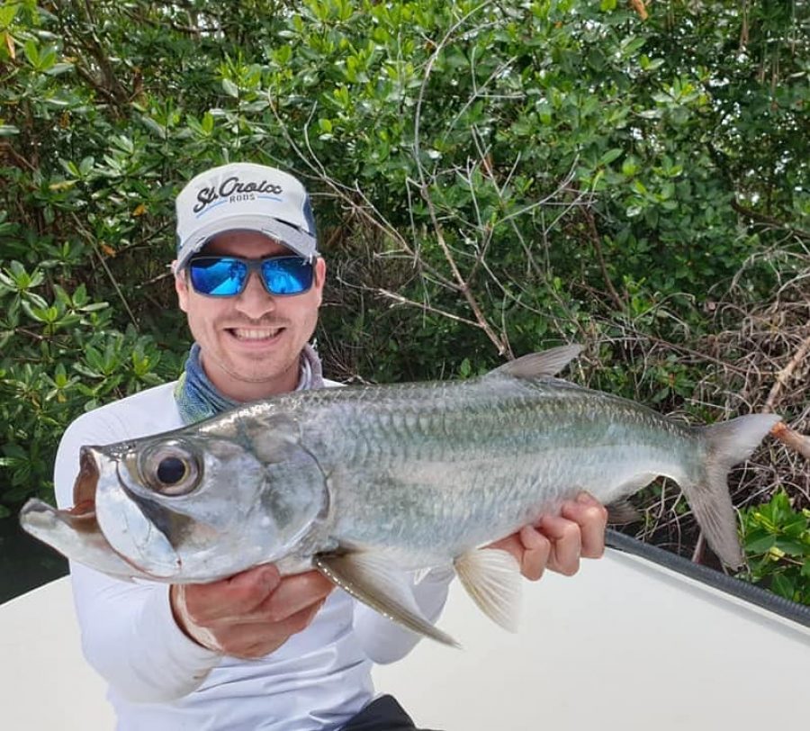 Baby tarpon à vue en 4 leçons.