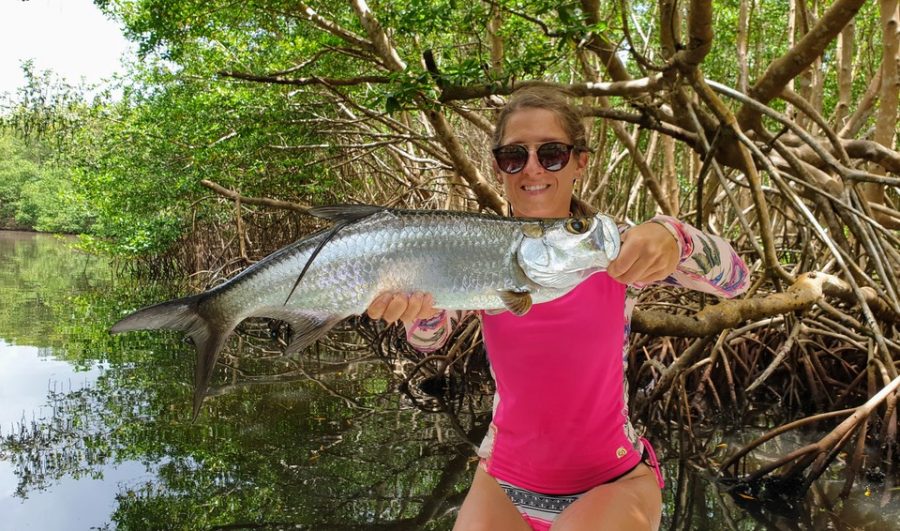 Pêche du baby tarpon aux leurres en Guadeloupe