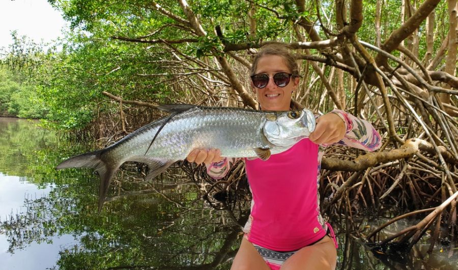 Pêche du baby tarpon aux leurres en Guadeloupe