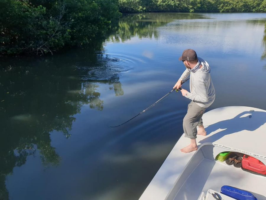 Poissons des antilles avec Gwénolé