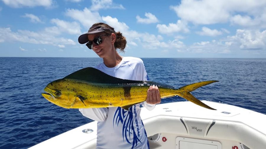 Peche de la dorade coryphene en guadeloupe