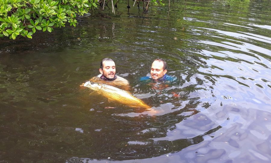 Baby tarpon avec Vincent