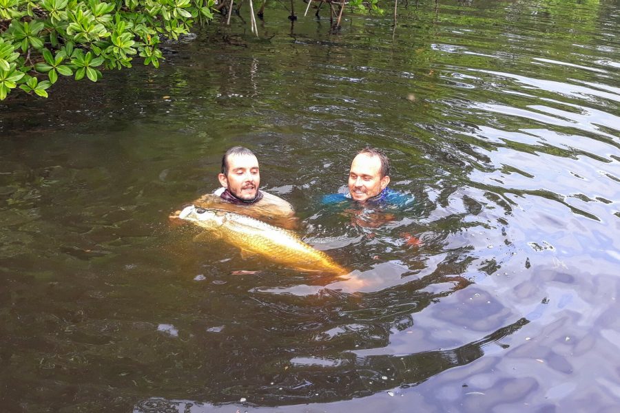 Baby tarpon avec Vincent