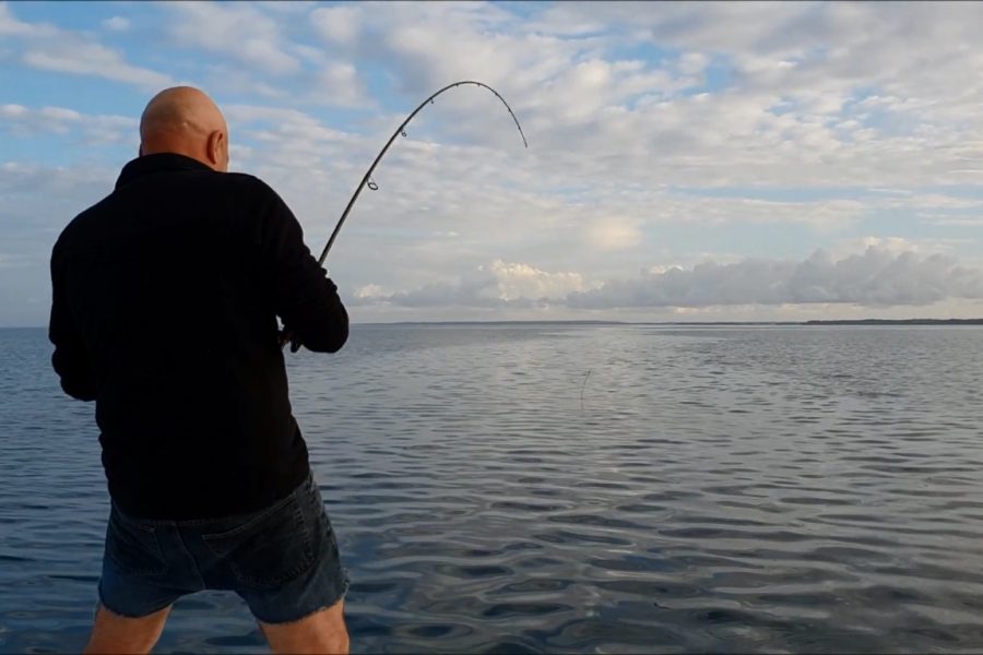 Combat avec un joli tarpon de Guadeloupe