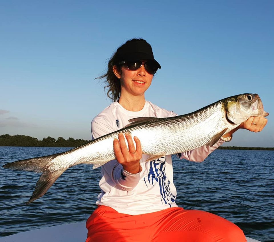 Ladyfish Elops de Guadeloupe