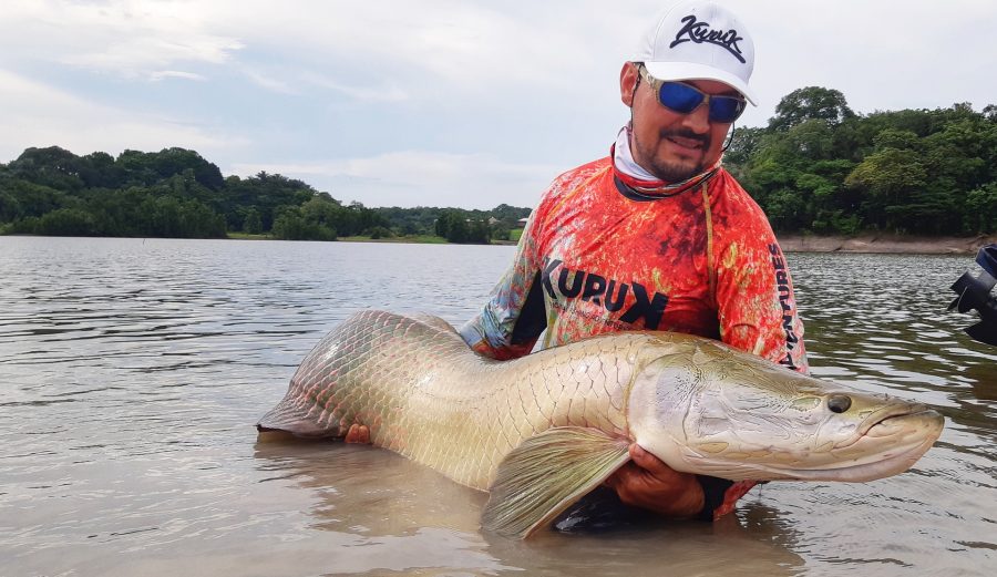 Pêche de l’arapaima ou pirarucu en amazonie brésilienne