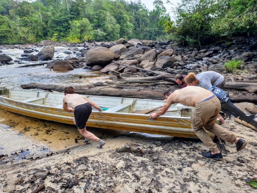 Pêche de l’aimara en Guyane avec Fishare