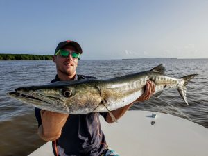 barracuda with a dedicated fisherman