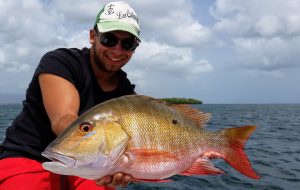 A nice mutton snapper caught in the lagoon of Guadeloupe