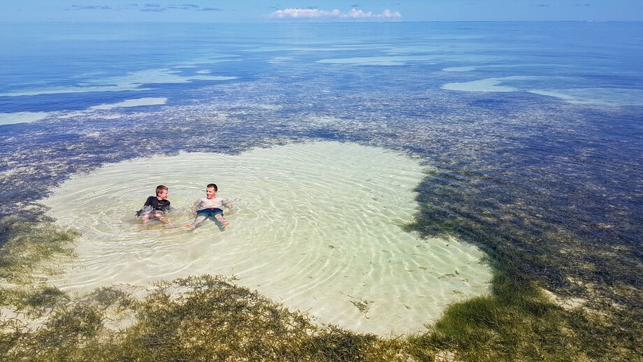 Piscine naturelle.