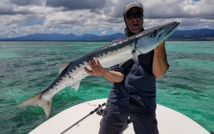 Un gros barracuda pris en eau peu profonde.