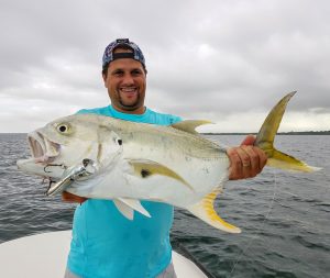 jack crevalle from Guadeloupe