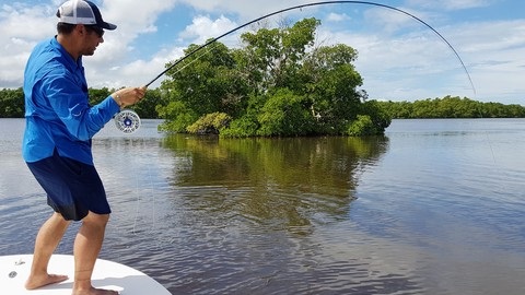 pêche à la mouche sur les flats