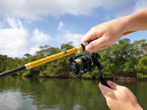 guadeloupe spinning fishing tackle