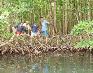 Fishing the mangrove with group