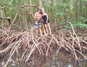 Envie d'une pause en mangrove ?
