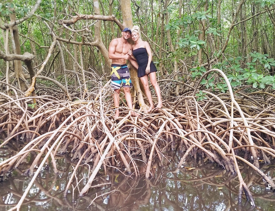 Envie d'une pause en mangrove ?