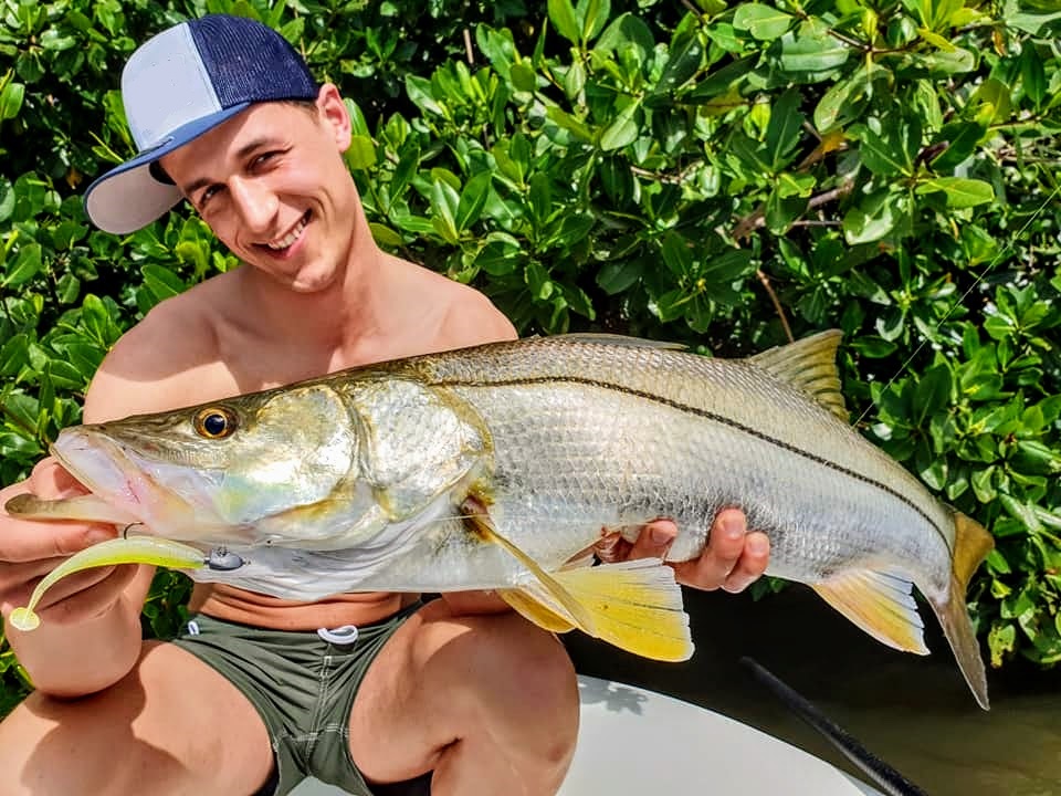 Fishing for snook in mangrove
