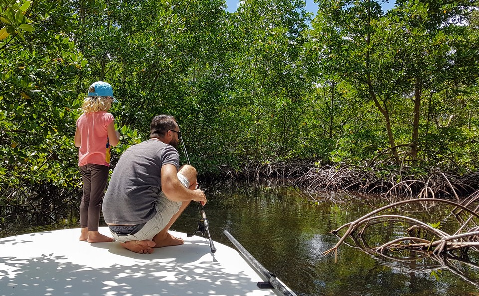 Mangrove Fishing in Guadeloupe