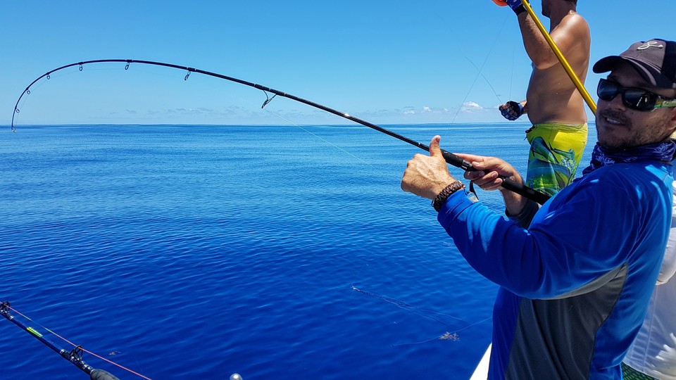 Guadeloupe Offshore - Julien Fishing Guide in Guadeloupe