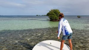 Fishing on guadeloupean flat