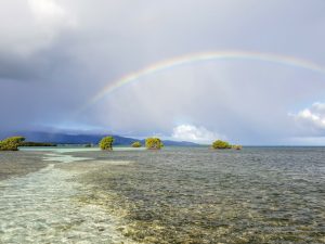 guadeloupe fishing guide