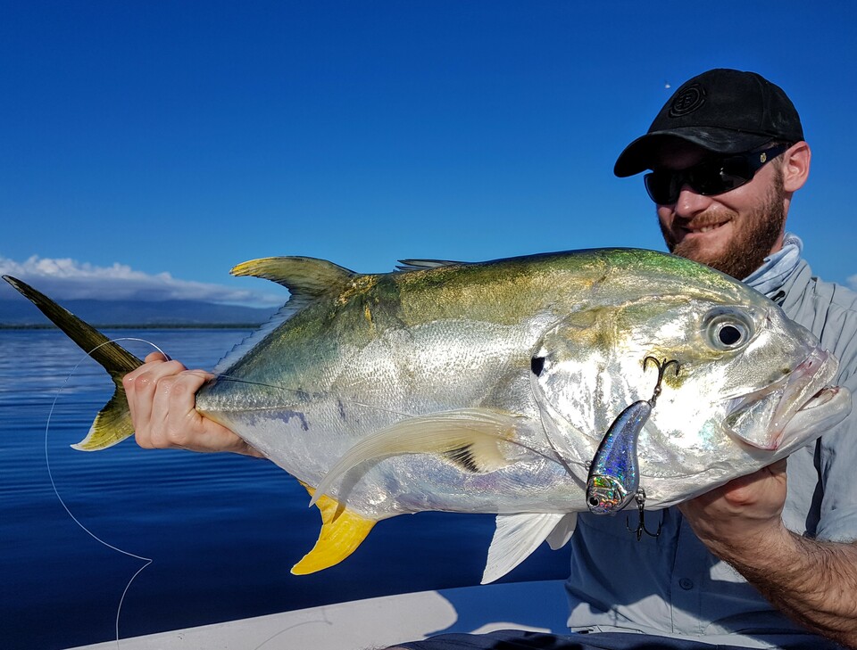 Jack Crevalle