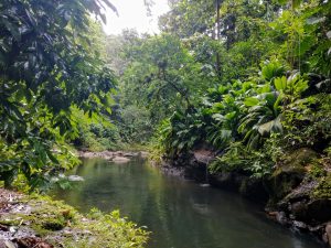 rivers guadeloupe