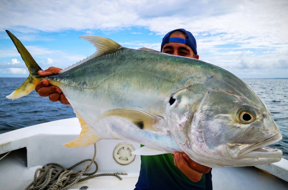 lure fishing guadeloupe