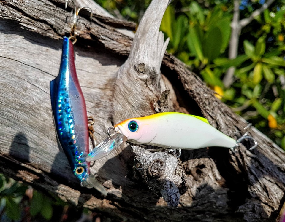 Pintail. Matériel de pêche aux leurres pour la Guadeloupe. 