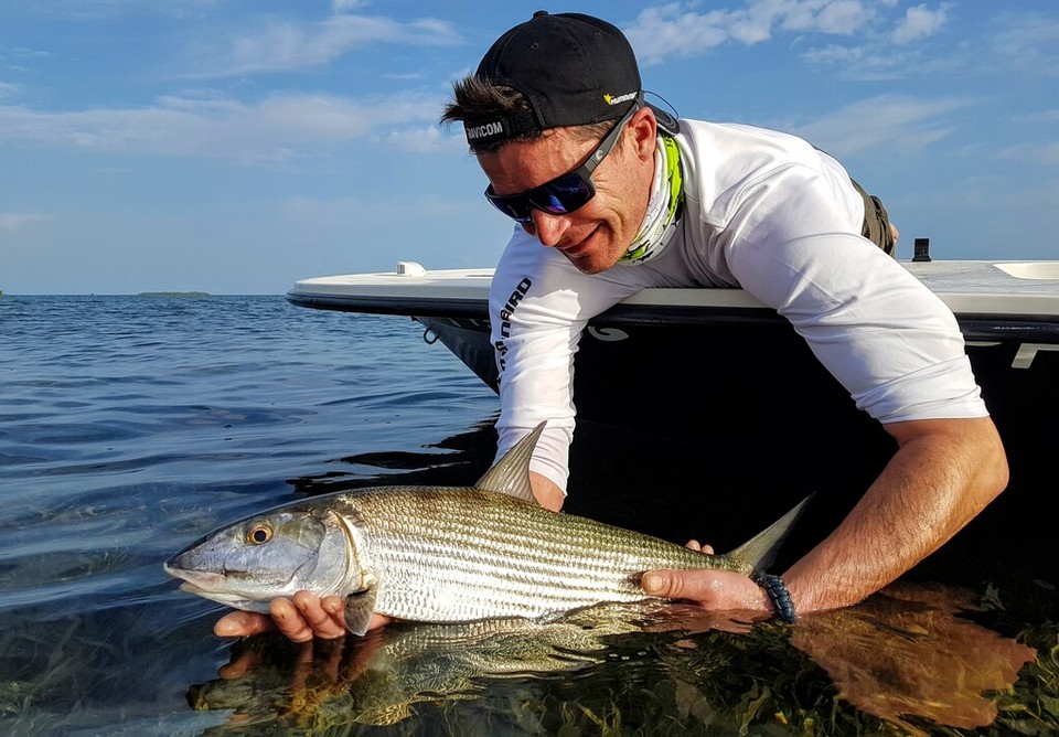 Les poissons de Guadeloupe : un joli bonefish.