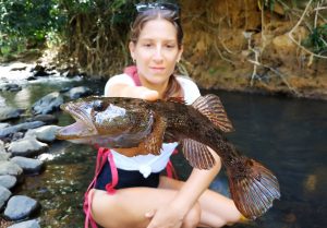 Les poissons de Guadeloupe : le dormeur.