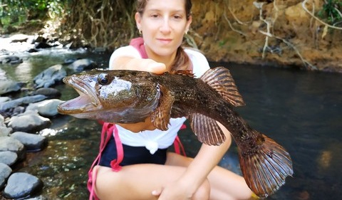 Poisson dormeur