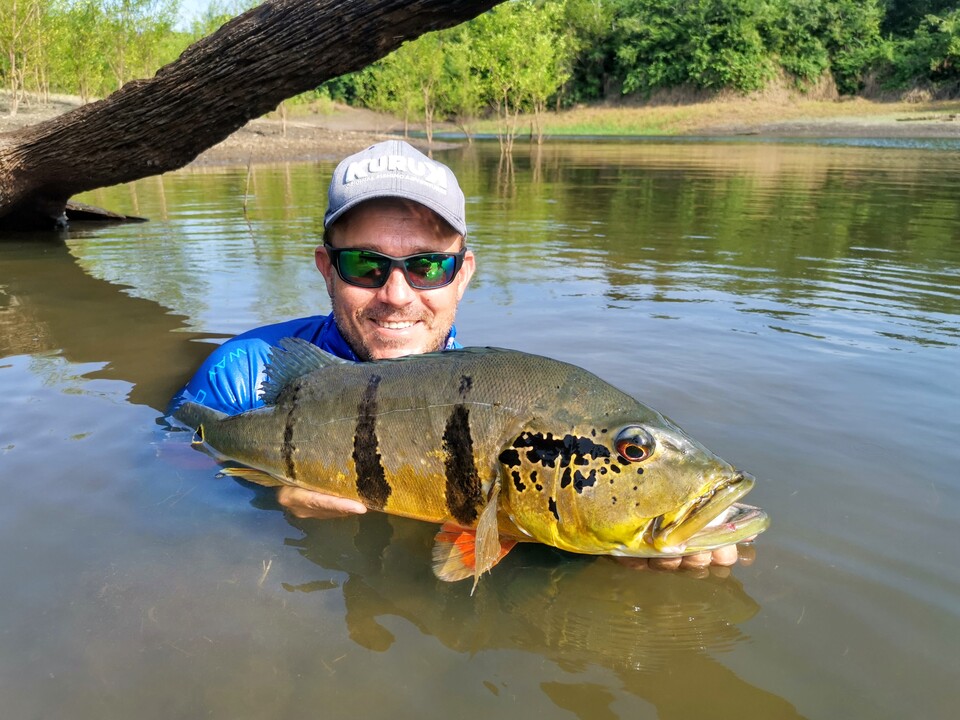 voyage de pêche peacock bass