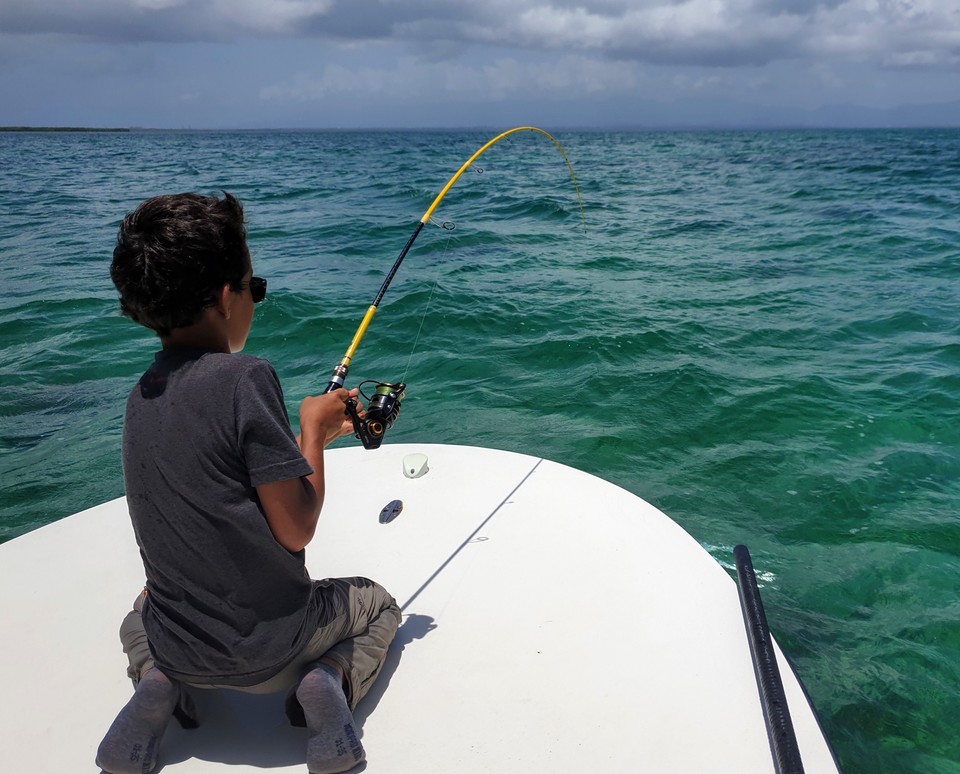 Benkei FLE en action. Matériel de pêche aux leurres pour la Guadeloupe.