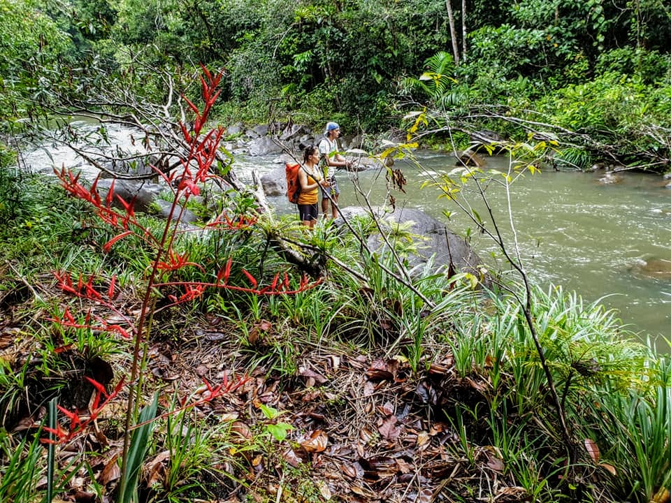 Comme l'impression de pêcher la truite, mais en milieu tropical.