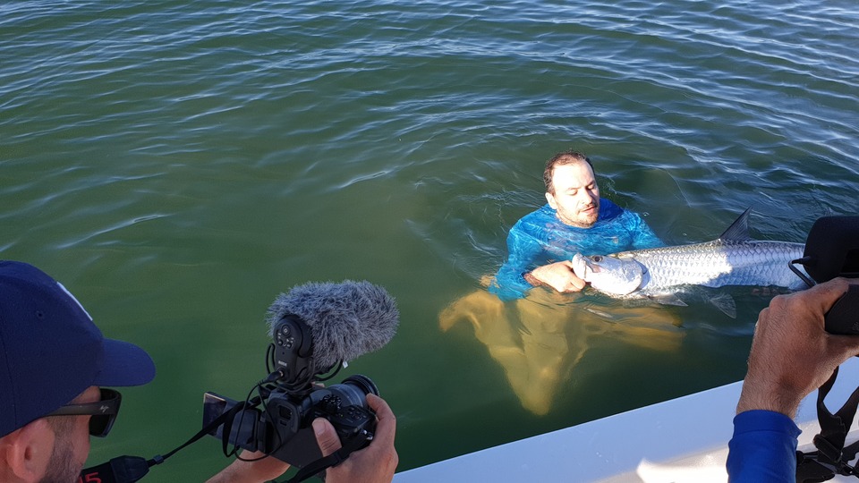 combat tarpon