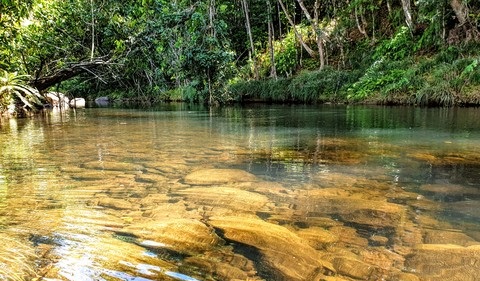 Rivière de Guadeloupe