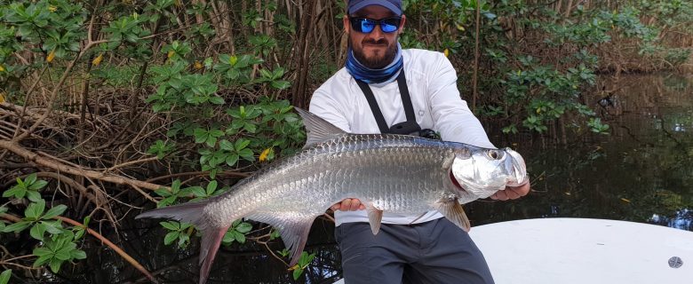Scarna Fishing Episode 5 : Pêche du baby tarpon en mangrove de Guadeloupe