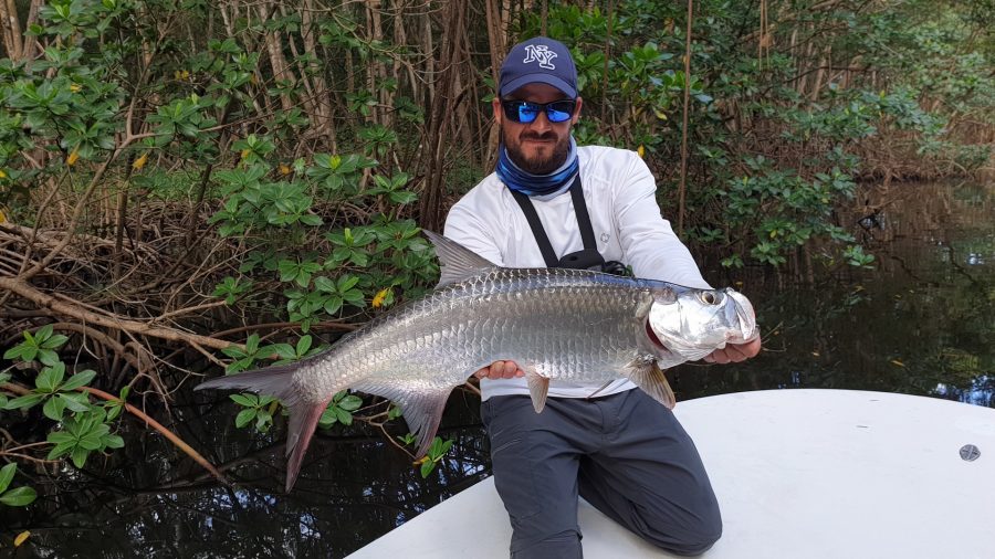 Scarna Fishing Episode 5 : Pêche du baby tarpon en mangrove de Guadeloupe
