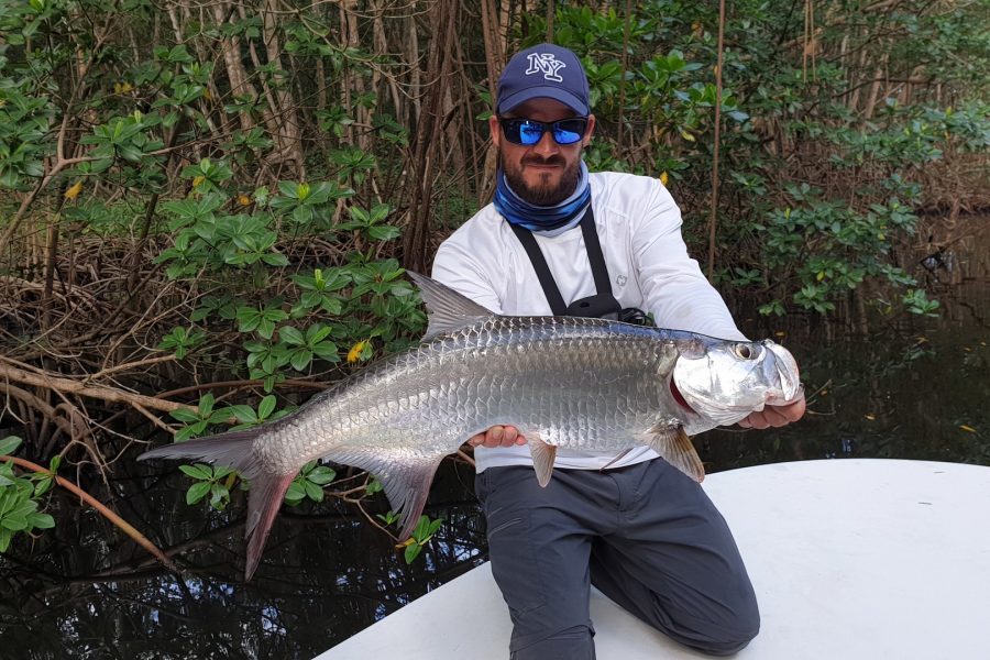Scarna Fishing Episode 5 : Pêche du baby tarpon en mangrove de Guadeloupe