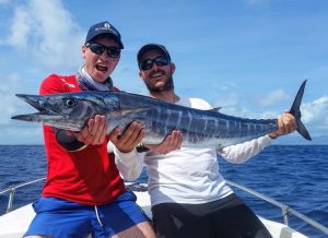 wahoo from guadeloupe