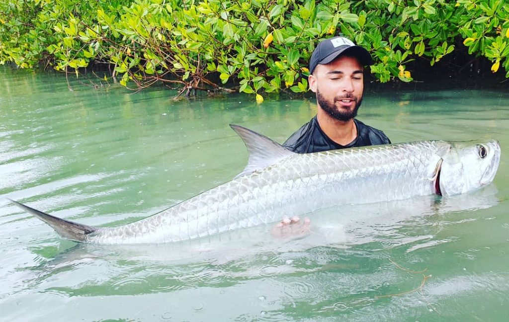 pêcher le tarpon en guadeloupe