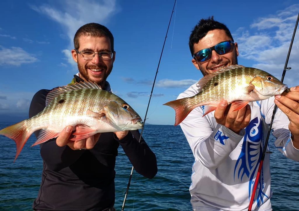 Doublé mutton snapper Guadeloupe