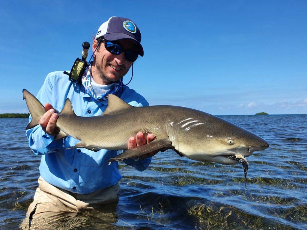 pêche en guadeloupe requin reguar