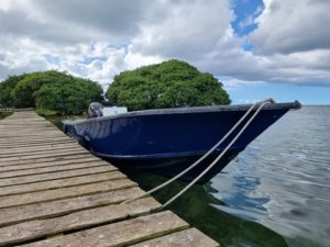 bateau saintoise mangrove